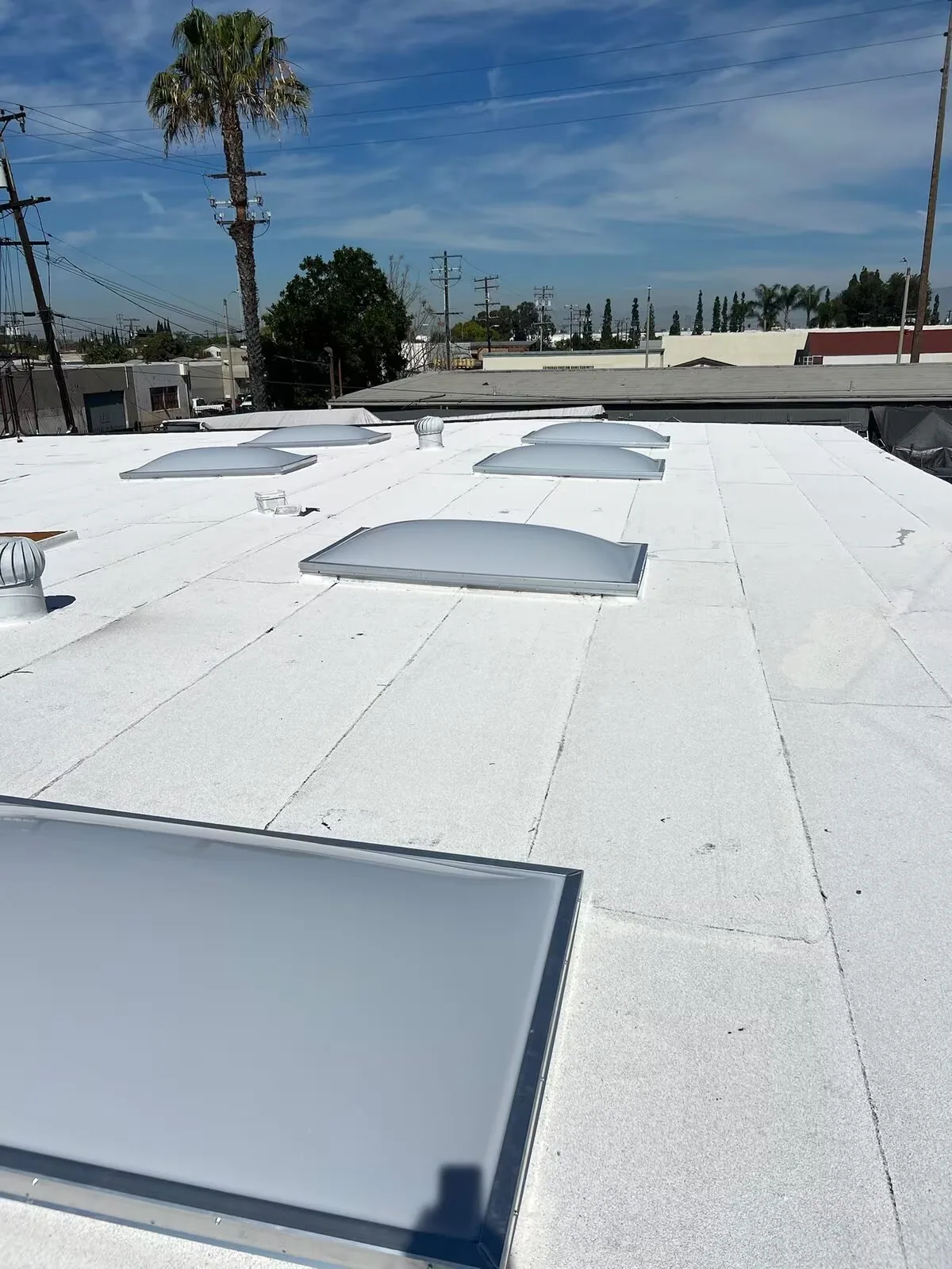 Commercial Roof Due Diligence Surveys in Santa Maria, CA in Santa Maria, CA