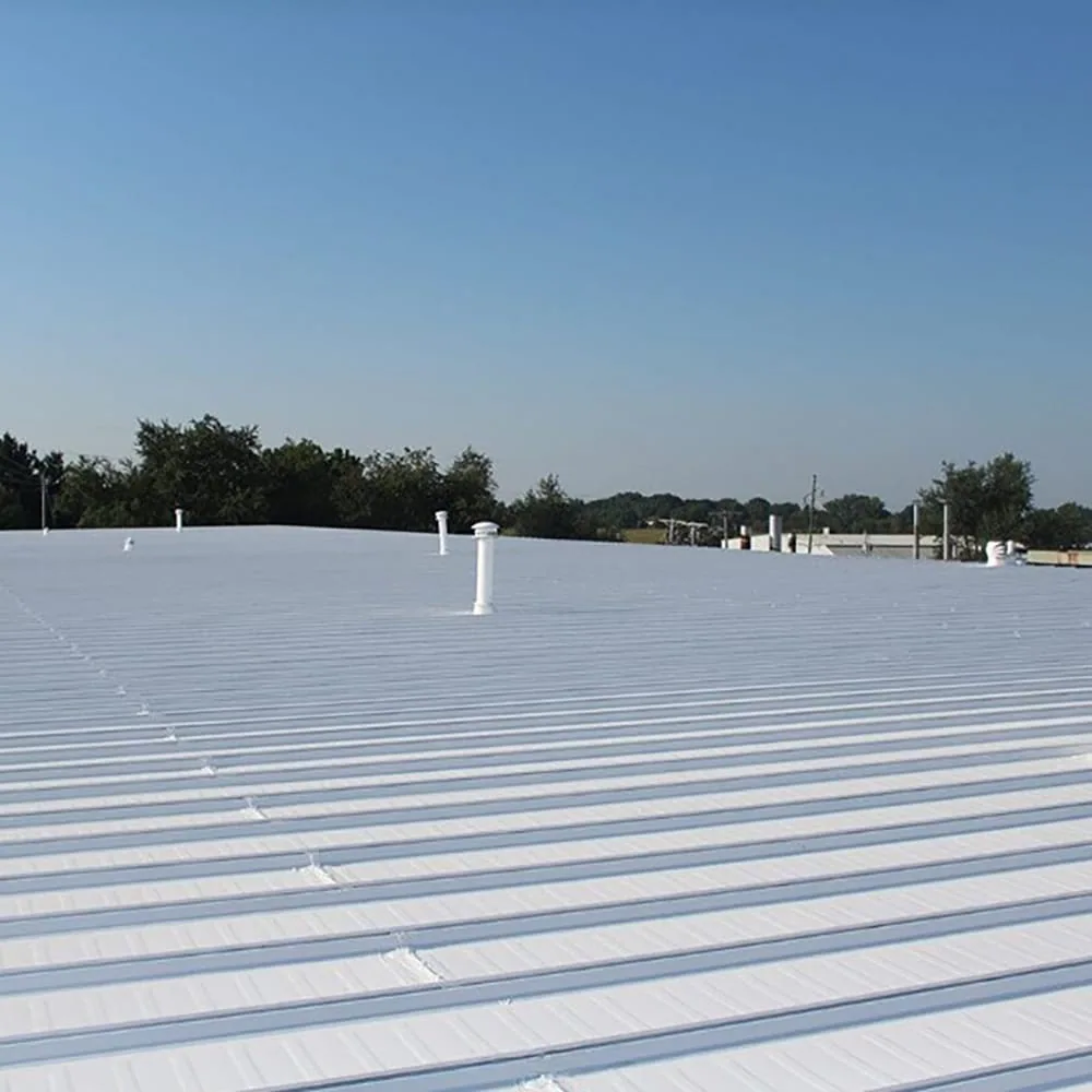 Silicone Roof Coatings in Santa Maria, CA in Santa Maria, CA